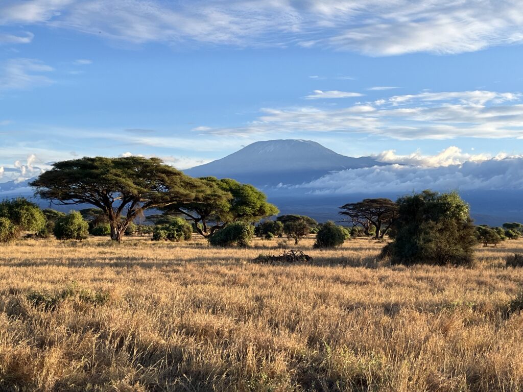 Scenic view of Mount Kilimanjaro rising above the clouds, seen from the golden grasslands of Amboseli National Park during a safari in Kenya.