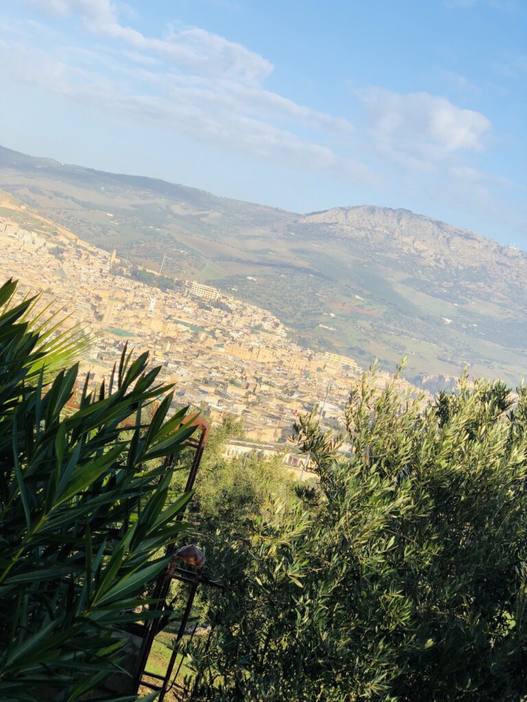 Panoramic view of Fes, Morocco, seen from a hillside framed by olive and palm trees, with the city’s tan buildings sprawling into the distance and the Atlas Mountains rising under a bright blue sky.