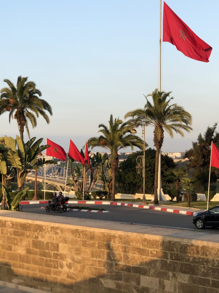 A cluster of Moroccan flags waving in the breeze among palm trees along a roundabout in Rabat, Morocco, with golden sunset light casting long shadows and motorbikes parked nearby.
