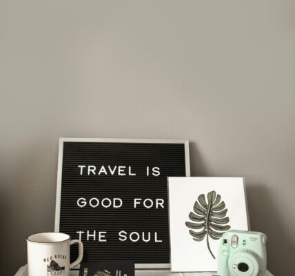 Travel Is Good For The Soul - the boujee duck the boujee duck Letter board sign reading Travel Is Good For The Soul with passport and camera