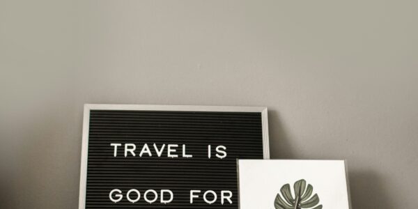 the boujee duck Letter board sign reading Travel Is Good For The Soul with passport and camera