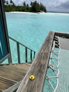 The Boujee Duck Maldives - the boujee duck the boujee duck Yellow rubber duck on over water bungalow deck at the Maldives with turquoise ocean